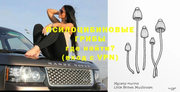 бутик Гусиноозёрск