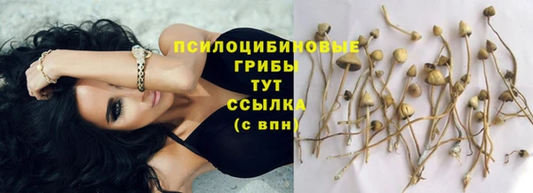 соль курить ск Бородино