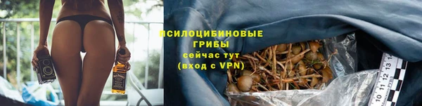 стаф Нея