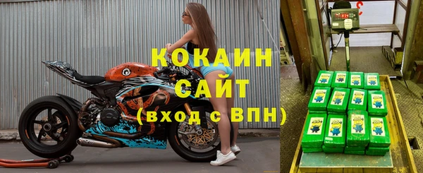 гашик Нефтегорск