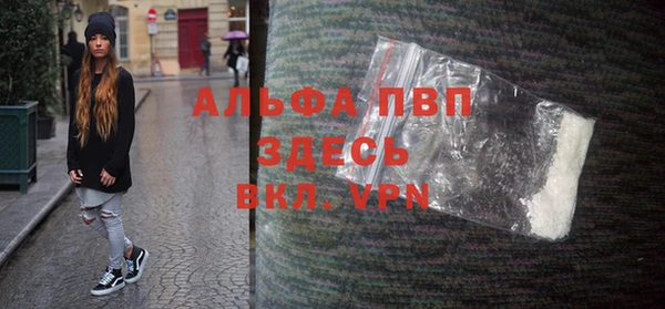 стаф Нея