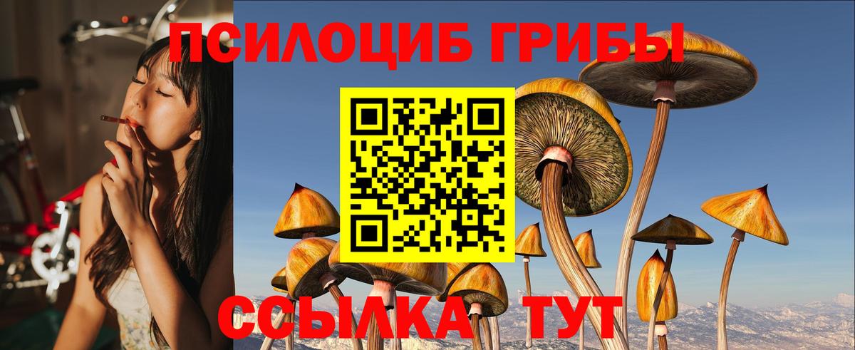 Галлюциногенные грибы Psilocybe  Псилоцибиновые грибы Psilocybine cubensis  Бугуруслан 