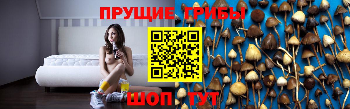 Галлюциногенные грибы Magic Shrooms Бугуруслан