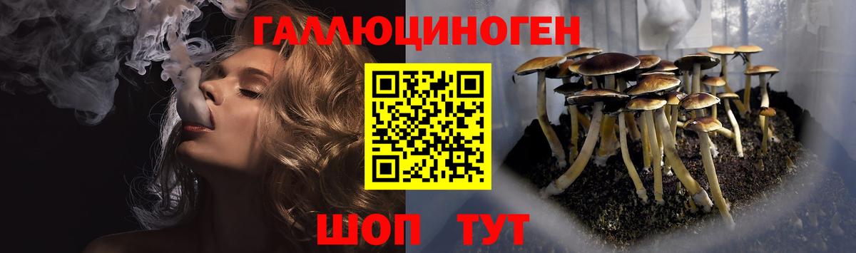 Псилоцибиновые грибы MAGIC MUSHROOMS  Вход с VPN  даркнет сайт  Бугуруслан 